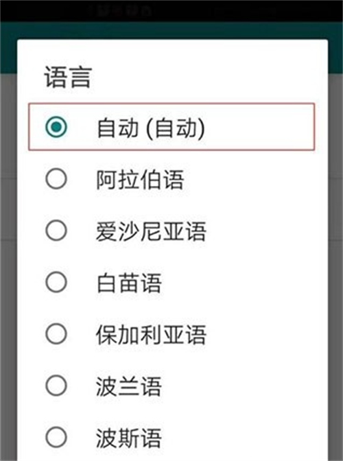必应Bing国际版