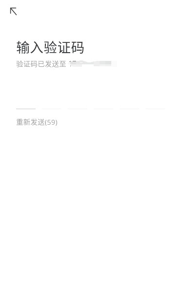 验证码输入界面