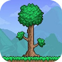 泰拉瑞亚皮皮蛙汉化版1.4.5