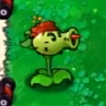 植物大战僵尸杂交版2手机版