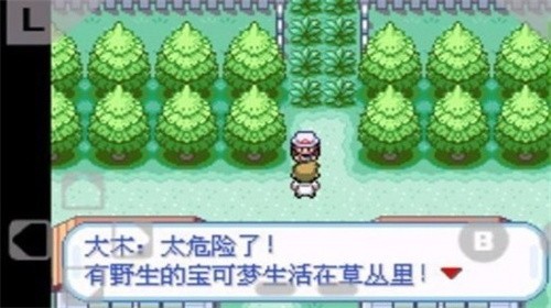 口袋妖怪火红汉化版社交功能