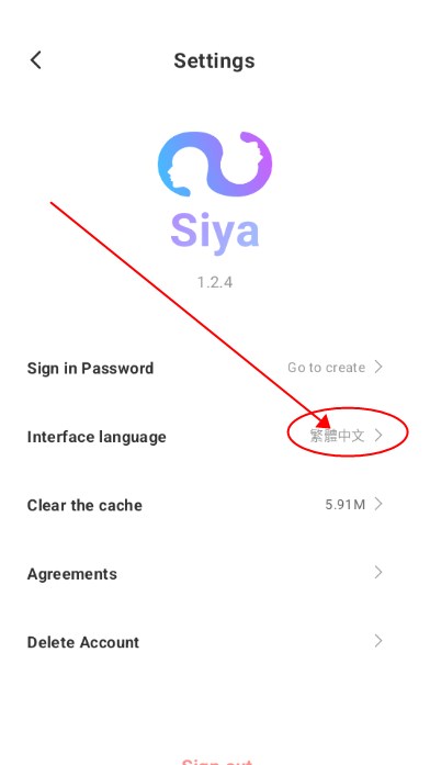 SiyaAI语言选项