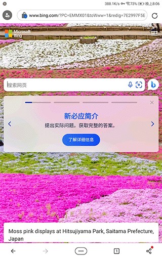 必应浏览器国际版
