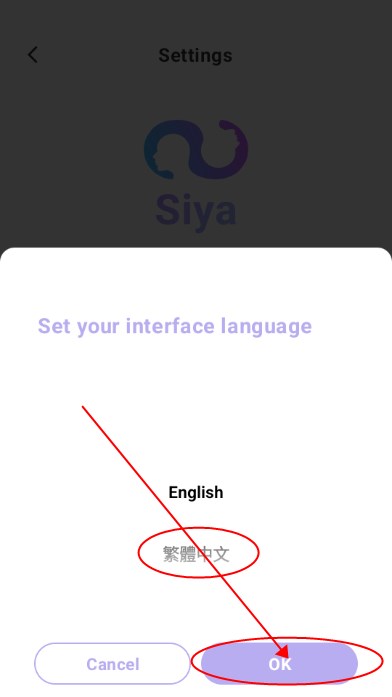 SiyaAI选择繁体中文