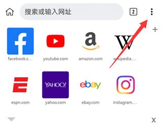 Kiwi浏览器