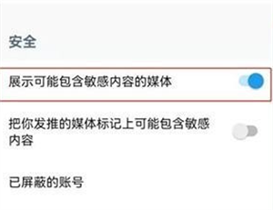 敏感内容显示开关