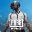 PUBG MOBILE国际服手游下载2026-PUBG MOBILE正版v4.5.0安卓版安装